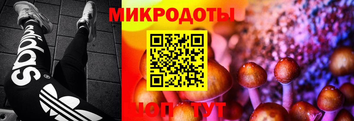 Кунгур  Псилоцибиновые грибы ЛСД  Вход с VPN 