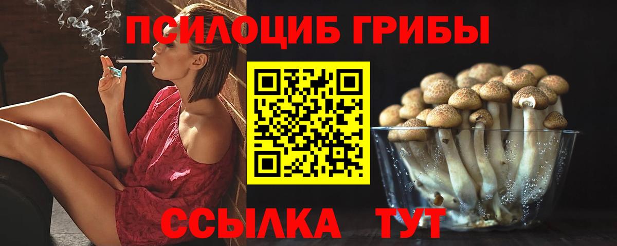 Псилоцибиновые грибы прущие грибы Кунгур